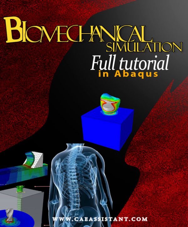 Abaqus BioMechanical