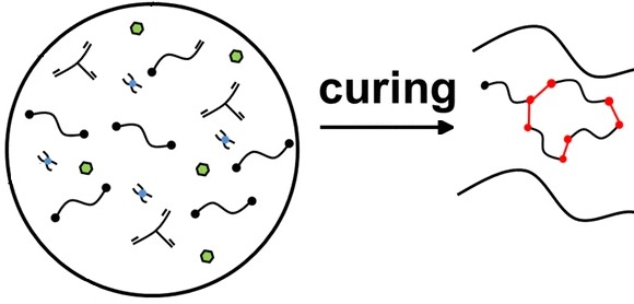 chemical shrinkage effect during the curing process