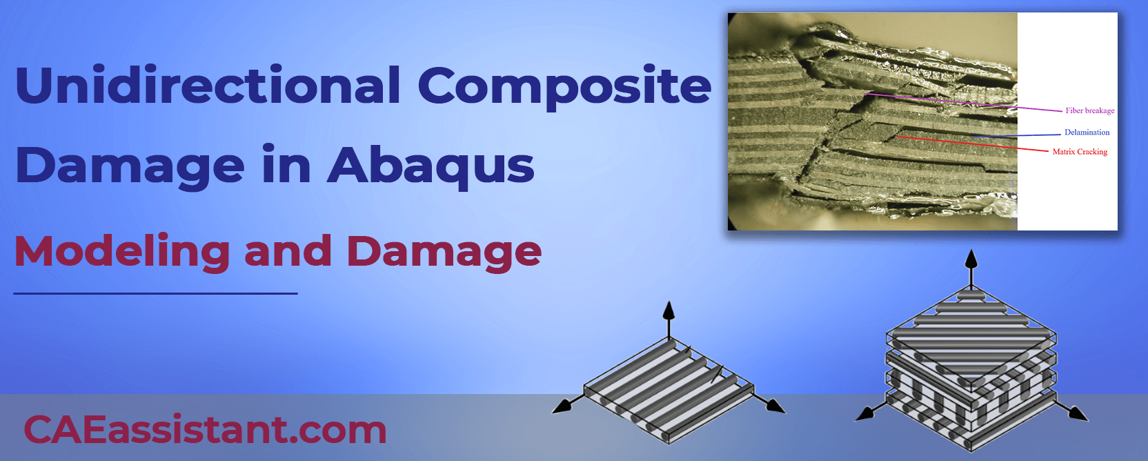 unidirectional composite damage