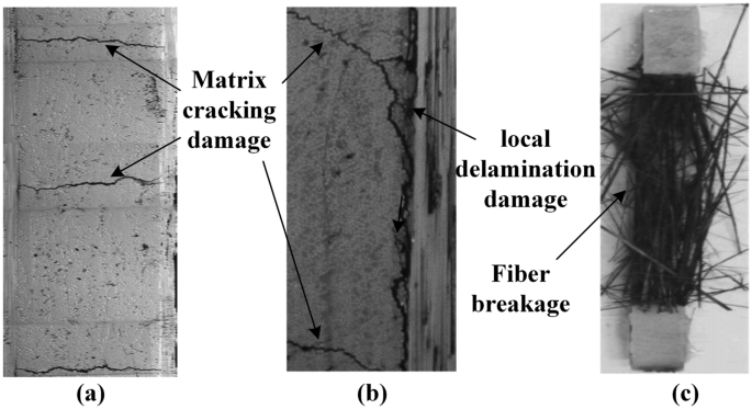 Matrix and fiber damage in unidirectional composite specimen 