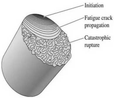 Typical fatigue fracture surface 