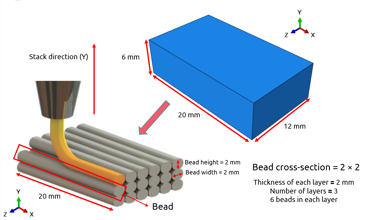 bead and the layers of the model