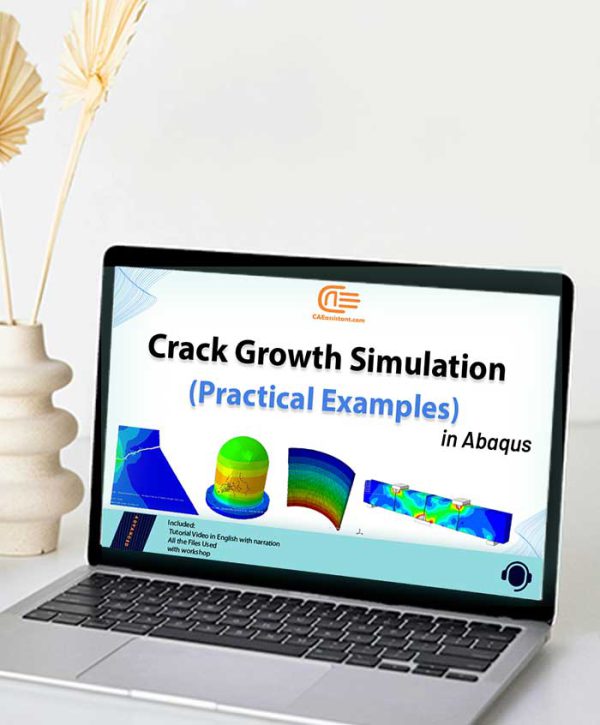 Crack growth workshops cover _ 3d