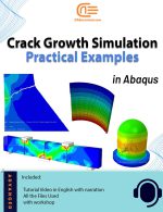 Crack growth workshops cover _ back