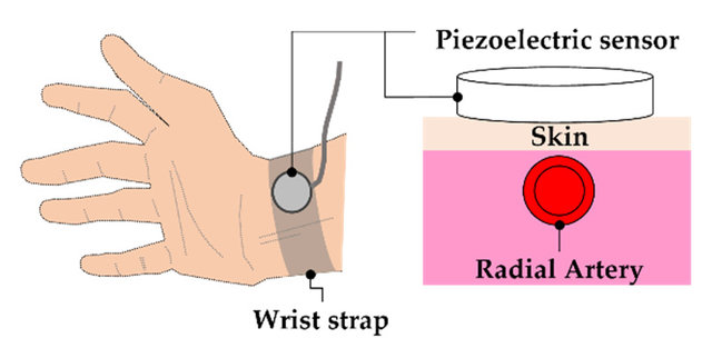 Piezoelectric sensor for pulse detection